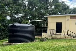 Rain water harvesting